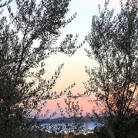 Hotel A Licetta Porto-Vecchio (Corsica)
