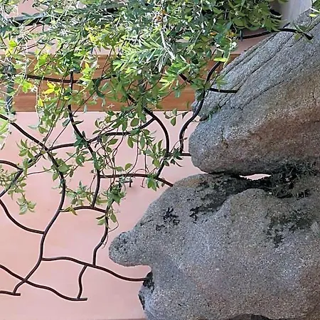 A Licetta Porto-Vecchio (Corsica)