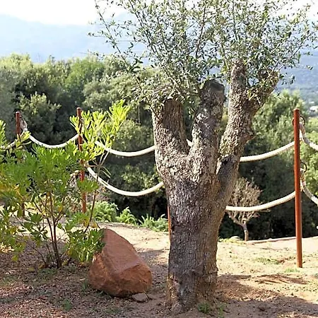 A Licetta Porto-Vecchio (Corsica)